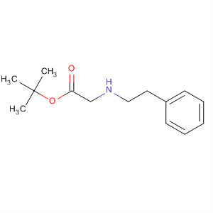 Tert-butyl 2-(phenethylamino)acetateStructure,66937-52-8Structure Tert-butyl 2-(phenethylamino)acetate Structure,66937-52-8Structure