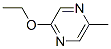 2-Ethoxy-5-methylpyrazineStructure,67845-34-5Structure 2-Ethoxy-5-methylpyrazine Structure,67845-34-5Structure