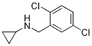 環(huán)丙基-(2,5-二氯-芐基)-胺結(jié)構(gòu)式_680591-59-7結(jié)構(gòu)式