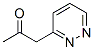 2-Propanone, 1-(3-pyridazinyl)-(9ci)Structure,69807-21-2Structure 2-Propanone, 1-(3-pyridazinyl)-(9ci) Structure,69807-21-2Structure