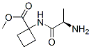 Cyclobutanecarboxylic acid, 1-[(2-amino-1-oxopropyl)amino]-, methyl ester, (r)-(9ci) Structure,744159-31-7Structure