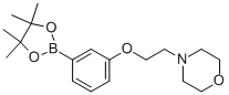 3-(2-Morpholinoethoxy)phenylboronic acid, pinacol esterStructure,756520-70-4Structure 3-(2-Morpholinoethoxy)phenylboronic acid, pinacol ester Structure,756520-70-4Structure