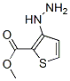 Methyl 3-hydrazinothiophene-2-carboxylateStructure,75681-13-9Structure Methyl 3-hydrazinothiophene-2-carboxylate Structure,75681-13-9Structure