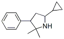 (9CI)-5-環(huán)丙基-2,2-二甲基-3-苯基吡咯烷結(jié)構(gòu)式_782392-43-2結(jié)構(gòu)式