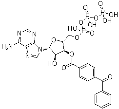 BzatpStructure,81790-82-1Structure Bzatp Structure,81790-82-1Structure