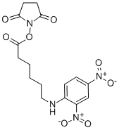 N-Succinimidyl N-(2,4-dinitrophenyl)-6-aminocaproateStructure,82321-04-8Structure N-Succinimidyl N-(2,4-dinitrophenyl)-6-aminocaproate Structure,82321-04-8Structure