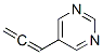 (9CI)-5-(1,2-丙二烯)-嘧啶結(jié)構(gòu)式_848741-44-6結(jié)構(gòu)式