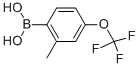 2-Methyl-4-trifluoromethoxyphenylboronic acid Structure,850033-39-5Structure