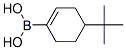 4-Tert-butylcyclohex-1-enylboronic acidStructure,850567-91-8Structure 4-Tert-butylcyclohex-1-enylboronic acid Structure,850567-91-8Structure
