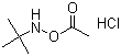 O-acetyl-n-(tert-butyl)hydroxylaminehydrochloride Structure,851074-40-3Structure