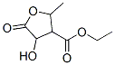 Ethyl 4-hydroxy-2-methyl-5-oxotetrahydrofuran-3-carboxylateStructure,855645-24-8Structure Ethyl 4-hydroxy-2-methyl-5-oxotetrahydrofuran-3-carboxylate Structure,855645-24-8Structure