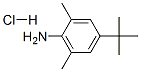 4-叔丁基-2,6-二甲基苯胺鹽酸鹽結(jié)構(gòu)式_859784-19-3結(jié)構(gòu)式