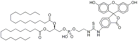 Fluorescein-dipalmitoylphosphatidylethanolamineStructure,87706-98-7Structure Fluorescein-dipalmitoylphosphatidylethanolamine Structure,87706-98-7Structure