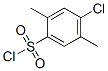 4-Chloro-2,5-dimethylbenzenesulfonyl chlorideStructure,88-49-3Structure 4-Chloro-2,5-dimethylbenzenesulfonyl chloride Structure,88-49-3Structure