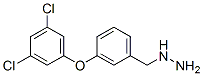 3-(3,5-Dichloro-phenoxy)-benzyl-hydrazineStructure,887595-95-1Structure 3-(3,5-Dichloro-phenoxy)-benzyl-hydrazine Structure,887595-95-1Structure