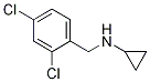 環(huán)丙基-(2,4-二氯-芐基)-胺結構式_892568-95-5結構式