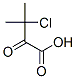 Butyric acid, 3-chloro-3-methyl-2-oxo-(7ci)Structure,89323-58-0Structure Butyric acid, 3-chloro-3-methyl-2-oxo-(7ci) Structure,89323-58-0Structure