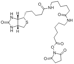 聯(lián)錫酰氨基己酰-6-氨基己酸N-羥基琥珀酰亞胺酯結構式_89889-52-1結構式