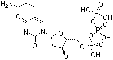 ((2R,3S,5R)-5-(5-(3-aminopropyl)-2,4-dioxo-3,4-dihydropyrimidin-1(2H)-yl)-3-hydroxytetrahydrofuran-2-yl)methyl tetrahydrogen triphosphateStructure,90015-82-0Structure ((2R,3S,5R)-5-(5-(3-aminopropyl)-2,4-dioxo-3,4-dihydropyrimidin-1(2H)-yl)-3-hydroxytetrahydrofuran-2-yl)methyl tetrahydrogen triphosphate Structure,90015-82-0Structure