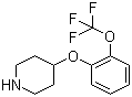 4-(2-(Trifluoromethoxy)phenoxy)piperidineStructure,902836-49-1Structure 4-(2-(Trifluoromethoxy)phenoxy)piperidine Structure,902836-49-1Structure