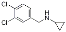 環(huán)丙基-(3,4-二氯-芐基)-胺結(jié)構(gòu)式_90919-75-8結(jié)構(gòu)式