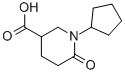 1-Cyclopentyl-6-oxopiperidine-3-carboxylic acidStructure,915922-35-9Structure 1-Cyclopentyl-6-oxopiperidine-3-carboxylic acid Structure,915922-35-9Structure