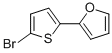 Furan, 2-(5-bromo-2-thienyl)-Structure,91891-82-6Structure Furan, 2-(5-bromo-2-thienyl)- Structure,91891-82-6Structure