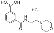 3-(2-Morpholinoethylcarbamoyl)phenylboronic acid, HClStructure,957060-89-8Structure 3-(2-Morpholinoethylcarbamoyl)phenylboronic acid, HCl Structure,957060-89-8Structure