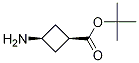Cis-3-aminocyclobutanecarboxylic acid tert-butyl ester Structure,957793-95-2Structure