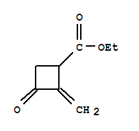 Cyclobutanecarboxylic acid, 2-methylene-3-oxo-, ethyl ester (9ci) Structure,220301-46-2Structure
