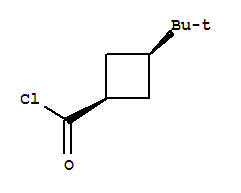 Cyclobutanecarbonyl chloride, 3-tert-butyl-, cis-(8ci) Structure,24165-52-4Structure