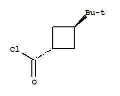 Cyclobutanecarbonyl chloride, 3-tert-butyl-, trans-(8ci) Structure,24165-53-5Structure