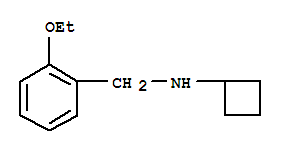Benzenemethanamine, n-cyclobutyl-2-ethoxy-(9ci)Structure,251086-12-1Structure Benzenemethanamine, n-cyclobutyl-2-ethoxy-(9ci) Structure,251086-12-1Structure