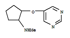 Cyclopentanamine,n-methyl -2-(5-pyrimidinyloxy)- (9ci)Structure,310880-94-5Structure Cyclopentanamine,n-methyl -2-(5-pyrimidinyloxy)- (9ci) Structure,310880-94-5Structure