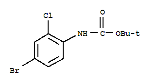 Tert-butyl 4-bromo-2-chlorophenylcarbamateStructure,330794-09-7Structure Tert-butyl 4-bromo-2-chlorophenylcarbamate Structure,330794-09-7Structure