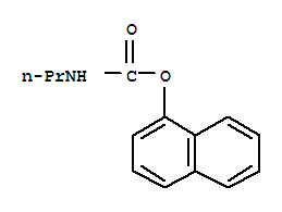 Naphthalen-1-yl n-propylcarbamateStructure,38357-67-4Structure Naphthalen-1-yl n-propylcarbamate Structure,38357-67-4Structure