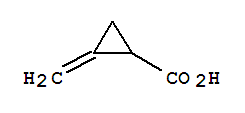 Methylenecyclopropane-2-carboxylic acidStructure,62266-36-8Structure Methylenecyclopropane-2-carboxylic acid Structure,62266-36-8Structure