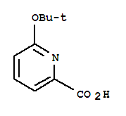 2-Pyridinecarboxylicacid,6-(1,1-dimethylethoxy)-(9ci)Structure,717105-06-1Structure 2-Pyridinecarboxylicacid,6-(1,1-dimethylethoxy)-(9ci) Structure,717105-06-1Structure