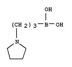Boronic acid, [3-(1-pyrrolidinyl)propyl]-(9ci) Structure,732942-28-8Structure