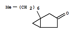 Bicyclo[3.1.0]hexan-3-one, 1-heptyl-(9ci) Structure,741260-61-7Structure