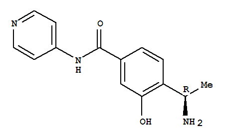 Benzamide, 4-(1-aminoethyl)-3-hydroxy-n-4-pyridinyl-, (r)-(9ci)Structure,757165-17-6Structure Benzamide, 4-(1-aminoethyl)-3-hydroxy-n-4-pyridinyl-, (r)-(9ci) Structure,757165-17-6Structure
