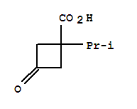 Cyclobutanecarboxylic acid, 1-(1-methylethyl)-3-oxo-(9ci)Structure,766513-48-8Structure Cyclobutanecarboxylic acid, 1-(1-methylethyl)-3-oxo-(9ci) Structure,766513-48-8Structure