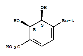 1,3-Cyclohexadiene-1-carboxylic acid, 4-(1,1-dimethylethyl)-5,6-dihydroxy-, (5s,6r)-(9ci)Structure,775267-87-3Structure 1,3-Cyclohexadiene-1-carboxylic acid, 4-(1,1-dimethylethyl)-5,6-dihydroxy-, (5s,6r)-(9ci) Structure,775267-87-3Structure