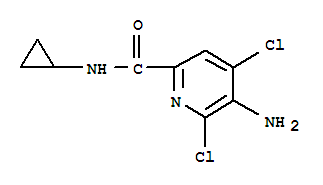 2-Pyridinecarboxamide,5-amino-4,6-dichloro-n-cyclopropyl-(9ci)Structure,784143-94-8Structure 2-Pyridinecarboxamide,5-amino-4,6-dichloro-n-cyclopropyl-(9ci) Structure,784143-94-8Structure