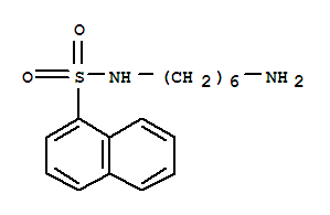 N-(6-aminohexyl)naphthalene-1-sulfonamideStructure,79458-81-4Structure N-(6-aminohexyl)naphthalene-1-sulfonamide Structure,79458-81-4Structure
