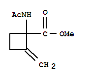 Cyclobutanecarboxylic acid,1-(acetylamino)-2-methylene-,methyl esterStructure,853305-15-4Structure Cyclobutanecarboxylic acid,1-(acetylamino)-2-methylene-,methyl ester Structure,853305-15-4Structure