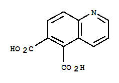 5,6-Quinolinedicarboxylic acidStructure,855764-12-4Structure 5,6-Quinolinedicarboxylic acid Structure,855764-12-4Structure