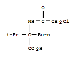 N-(chloroacetyl)-2-isopropyl-l-norleucineStructure,880765-84-4Structure N-(chloroacetyl)-2-isopropyl-l-norleucine Structure,880765-84-4Structure