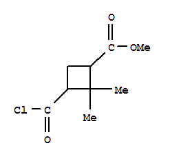 Cyclobutanecarboxylic acid, 3-(chloroformyl)-2,2-dimethyl-, methyl ester (7ci) Structure,90675-51-7Structure
