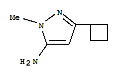 5-Cyclobutyl-2-methyl-2h-pyrazol-3-ylamineStructure,92406-41-2Structure 5-Cyclobutyl-2-methyl-2h-pyrazol-3-ylamine Structure,92406-41-2Structure